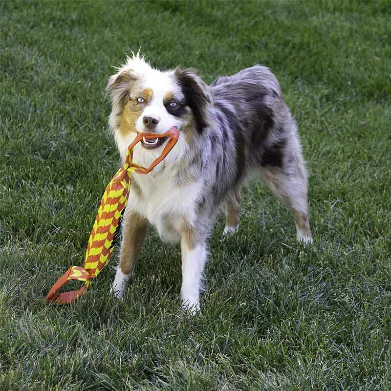 KONG Maxx Tug gelb rot