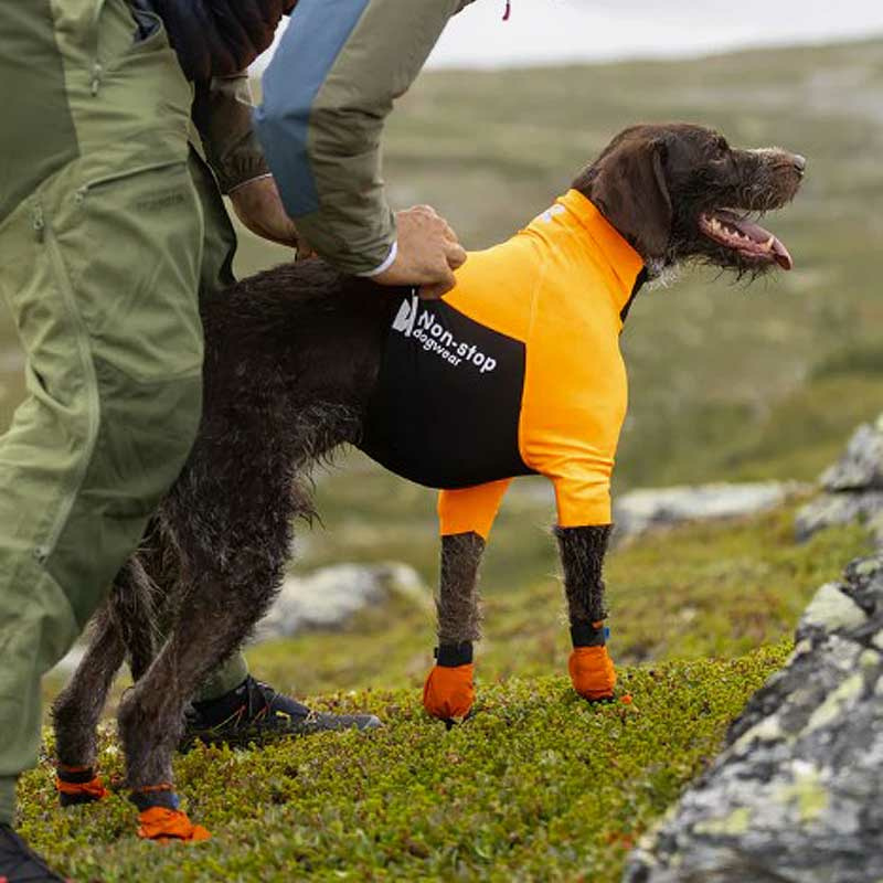 Non-stop Dogwear Sicherheitsshirt T-Shirt Protector 2.0 orange XS