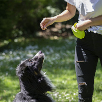 PROCYON Silikon-Futtertasche mit Magnetverschluss