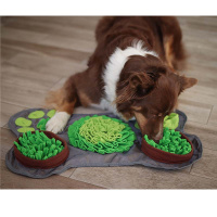 PROCYON Schnüffelmatte 60x40cm für Hunde