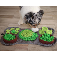 PROCYON Schnüffelmatte 60x40cm für Hunde