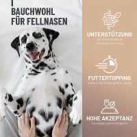 REAVET Magenpulver für Hunde 300g