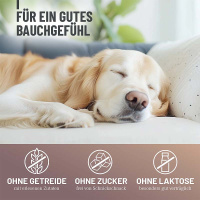 REAVET Magenpulver für Hunde 300g