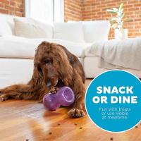 Planet Dog Double Tuff Snoop Hundespielzeug lila