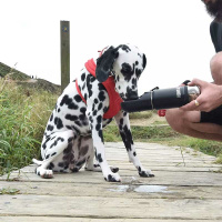 KONG Trek & Treat Edelstahlflasche mit Trinknapf