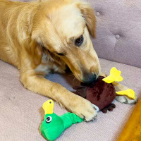 KONG Shakers Bobz Wildente