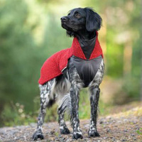 Pomppa Polar Pullover PolarPomppa Vogelbeere rot