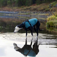 Non-stop Dogwear Trail Quest Fleece Pullover teal petrol 27