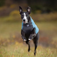 Non-stop Dogwear Trail Quest Fleece Pullover teal petrol 33