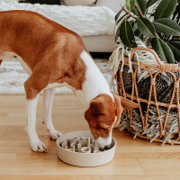 District 70 BAMBOO Dog Slow Feeder Anti Schling Napf  M grau