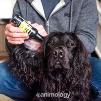 ANIMOLOGY Clean Ears Ohrenpflege Ohrreiniger Hund