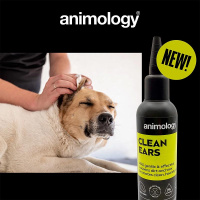 ANIMOLOGY Clean Ears Ohrenpflege Ohrreiniger Hund