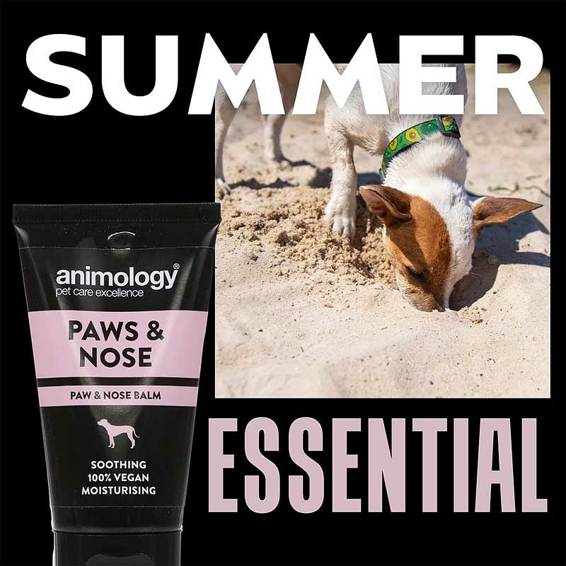 ANIMOLOGY Pfotencreme Pfotensalbe Nasenbalsam Hund 50ml