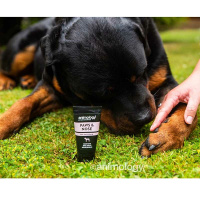 ANIMOLOGY Pfotencreme Pfotensalbe Nasenbalsam Hund 50ml