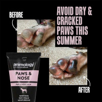 ANIMOLOGY Pfotencreme Pfotensalbe Nasenbalsam Hund 50ml