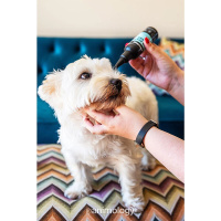 ANIMOLOGY Tear Stain Remover sanfte Reinigung 100ml