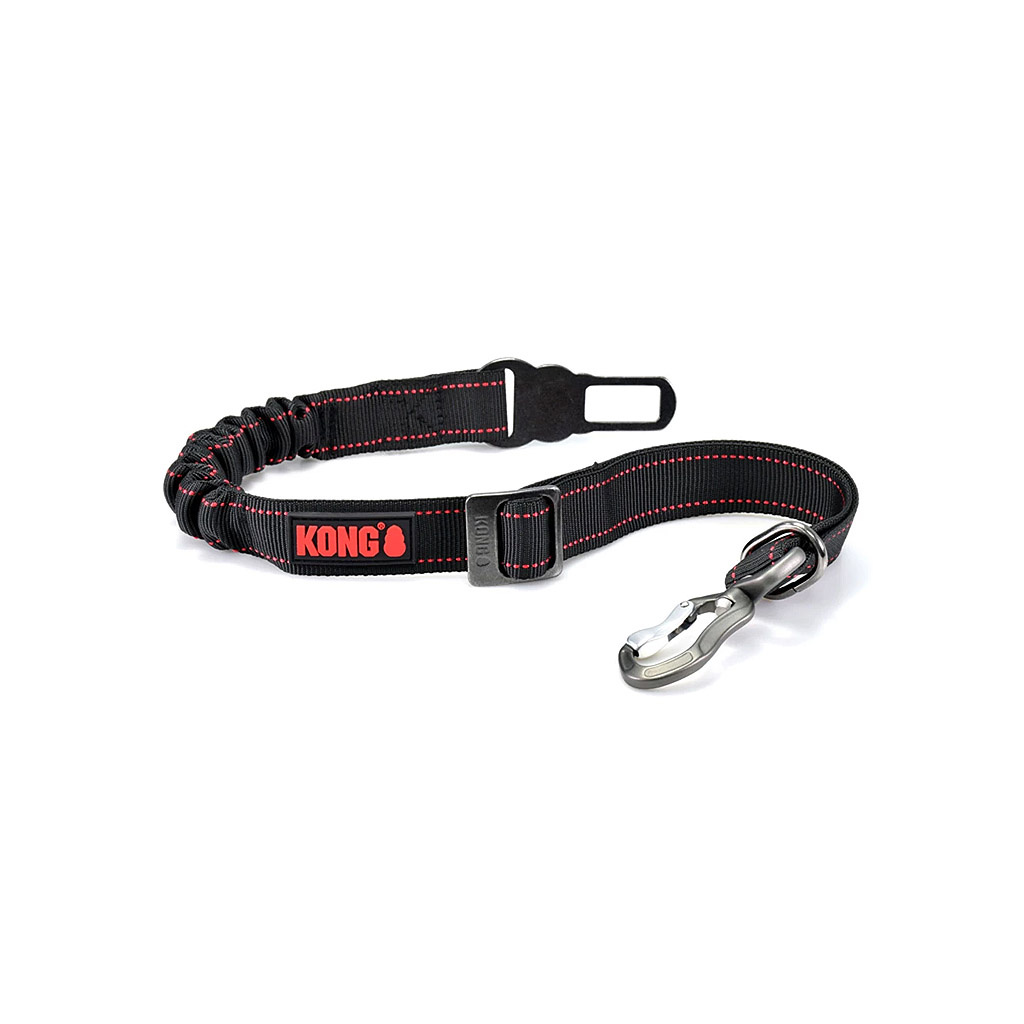 Sicherheitsgurte für Hunde