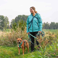 AnnyX Brustgeschirr Hundegeschirr FUN Ozean türkis M