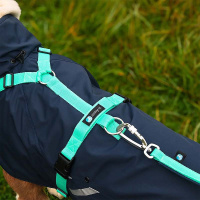 AnnyX Führleine verstellbar Safety FUN Ozean türkis 20 mm | vollgepolstert