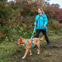 AnnyX Führleine verstellbar Bolt FUN ozean türkis Classic