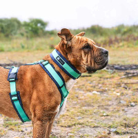 AnnyX Zugstopp Halsband Fun ozean türkis 4