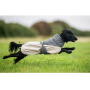 Non-stop dogwear Glacier Wool Jacket 3.0 – Winterjacke mit Merinowolle