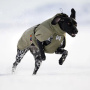 Non-stop dogwear Glacier Wool Jacket 3.0 – Winterjacke mit Merinowolle oliv grün 60