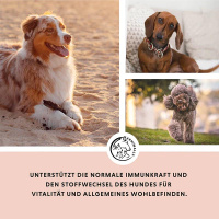 ANNIMALLY Multi Vital Pulver Vitamin Boost für Hunde 200g