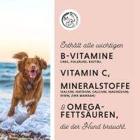 ANNIMALLY Multi Vital Pulver Vitamin Boost für Hunde 200g