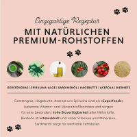 ANNIMALLY Multi Vital Pulver Vitamin Boost für Hunde 200g