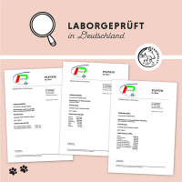 ANNIMALLY Multi Vital Pulver Vitamin Boost für Hunde 200g