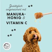 ANNIMALLY Bronchial Plus Atemwegskräuter für Hunde 100ml