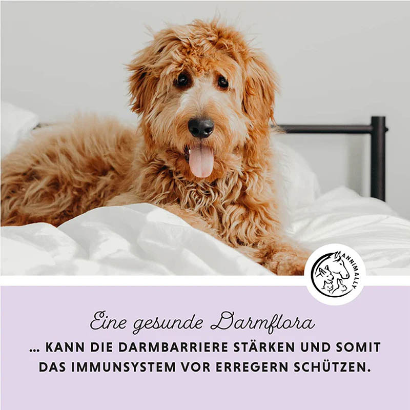 ANNIMALLY Colon Vital Pulver  für Hunde