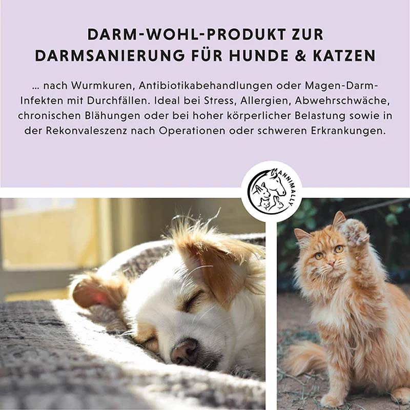 ANNIMALLY Colon Vital Pulver  für Hunde