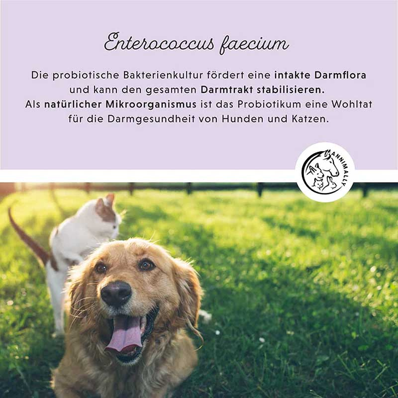 ANNIMALLY Colon Vital Pulver  für Hunde