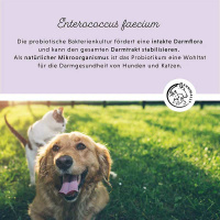 ANNIMALLY Colon Vital Pulver Darmsanierung für Hunde