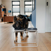 District 70 BUTLER Futternapfständer