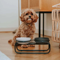 District 70 BUTLER Futternapfständer schwarz S