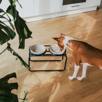 District 70 BUTLER Futternapfständer schwarz S