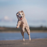 Non-stop Dogwear TRAIL QUEST Overall Fleecepullover mit Beinen sand beige 27