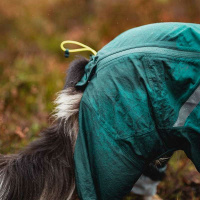 Non-stop Dogwear FJORD Overall Regenmantel mit Beinen teal petrol 40