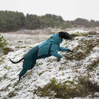 Non-stop Dogwear FJORD Overall Regenmantel mit Beinen teal petrol 40