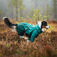 Non-stop Dogwear FJORD Overall Regenmantel mit Beinen teal petrol 60