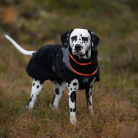 Non-stop Dogwear Trekking Fleece Jacke Pullover für Hunde schwarz orange 65