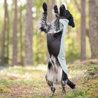 Pomppa USNEA Pullover JumppaPomppa mint 56