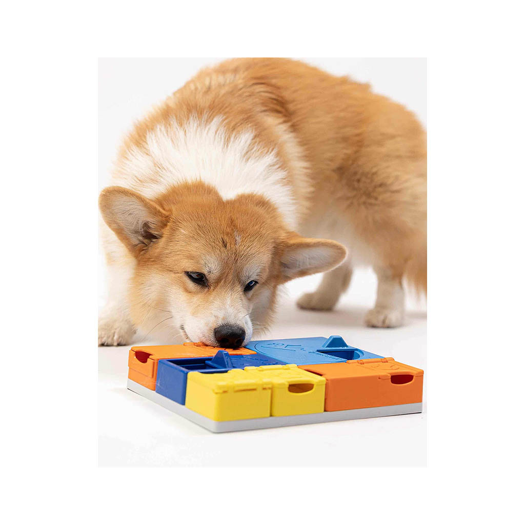 PAWZLER Rainbow Set Intelligenzspielzeug fr Hunde