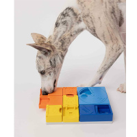 PAWZLER Rainbow Set Intelligenzspielzeug für Hunde