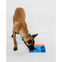 PAWZLER Beginner Set Intelligenzspielzeug für Hunde