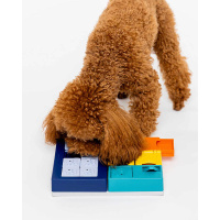 PAWZLER Smarty Set Intelligenzspielzeug für Hunde MINI Level 2-3