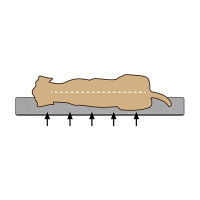 Beeztees Zira Orthopädisches Hundekissen hellgrau S 75x50x9cm